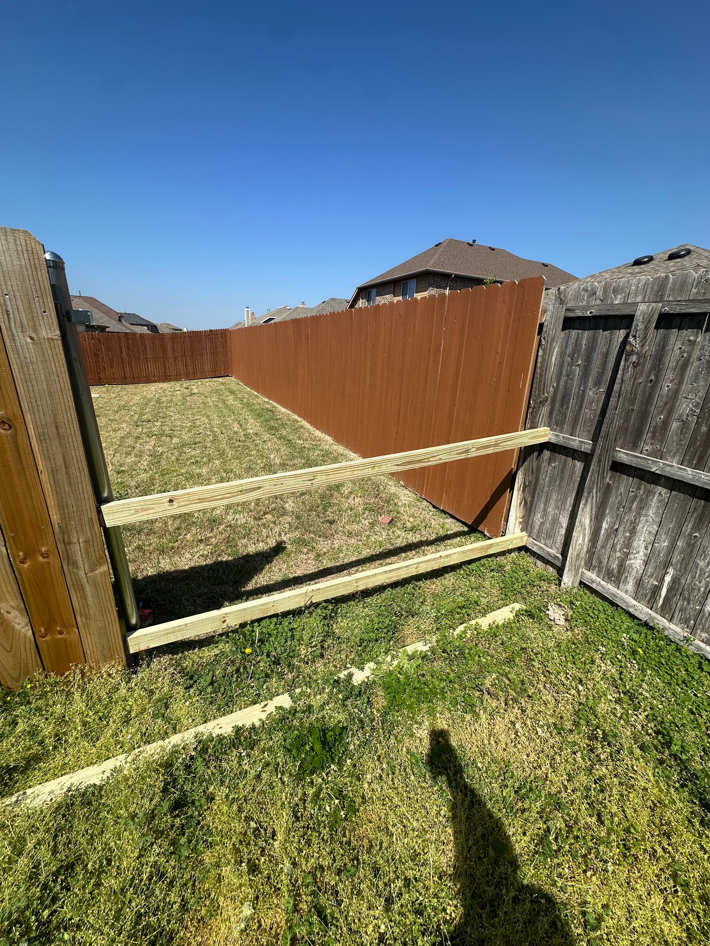 Long fence run — staining completed