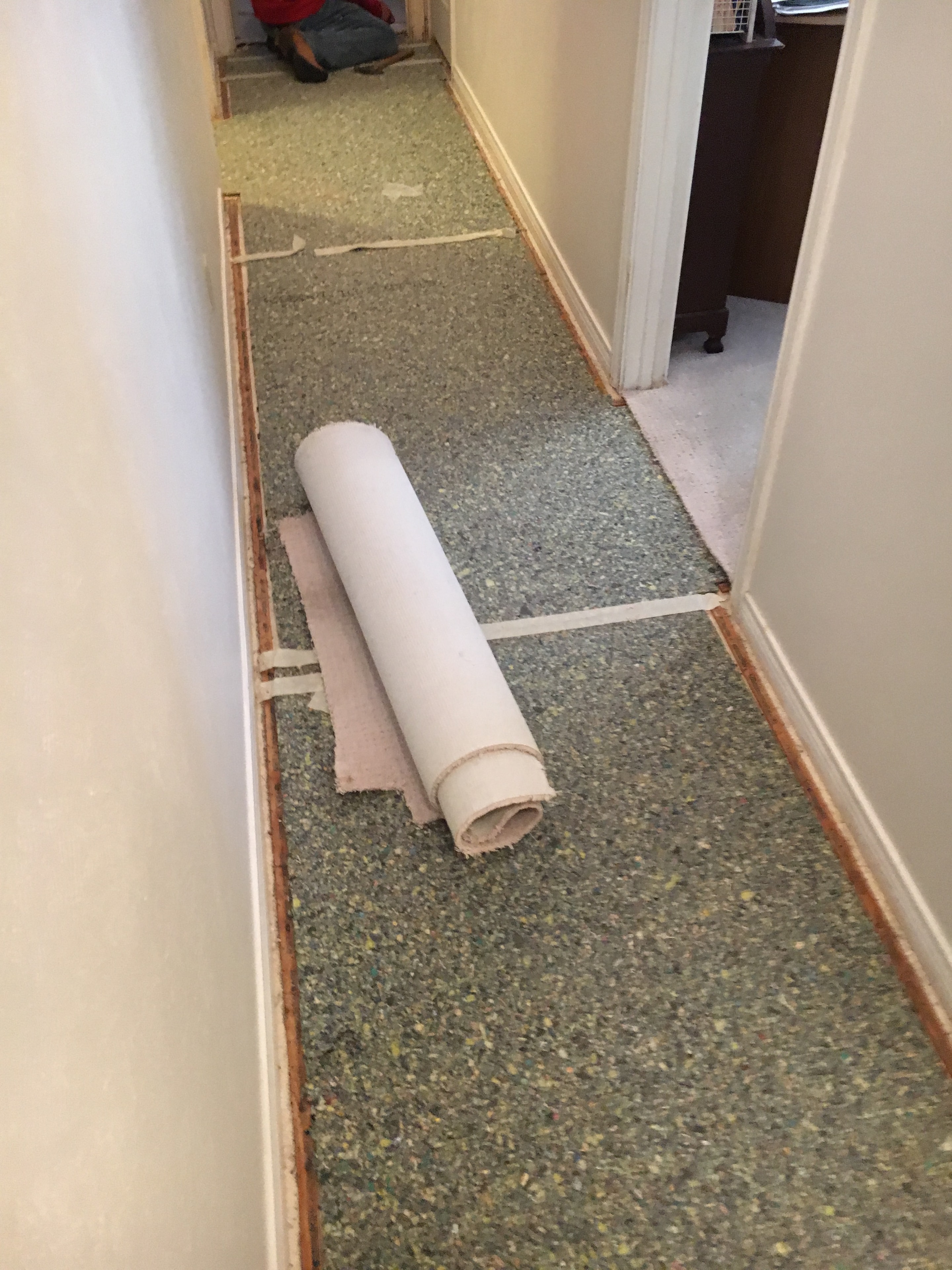 Carpet removal in progress — pad and tack strip removal before new flooring